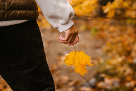 Fall leaf in adult person's hand